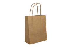 SAC A POIGNEE 35X15X40 NEUTRE (CARTON DE 200 SACS)
